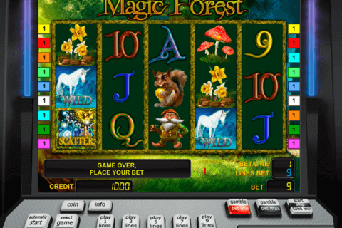 magic forest novomatic casino gokkasten