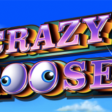 Crazy Goose logo