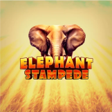 Elephant Stampede logo