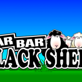 Bar-Bar-Black Sheep logo