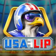 USA Flip logo