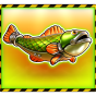 Fish img