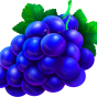Grape img