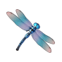 Dragonfly img