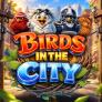 Birds in The City logo