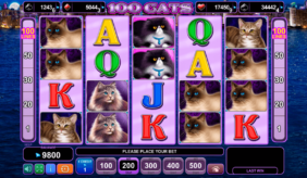 100 cats egt casino gokkasten 