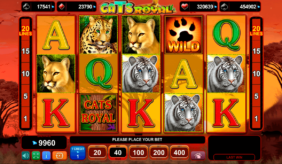 cats royal egt casino gokkasten 
