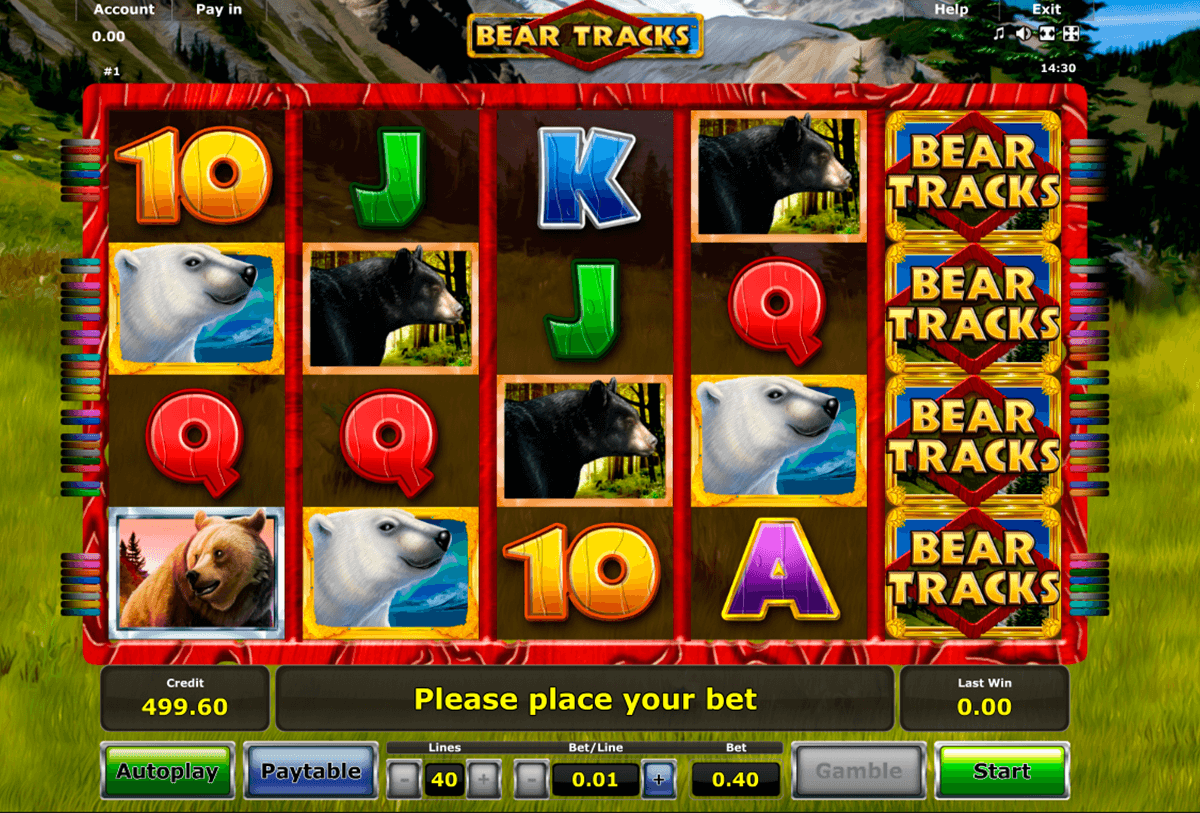 bear tracks novomatic casino gokkasten 