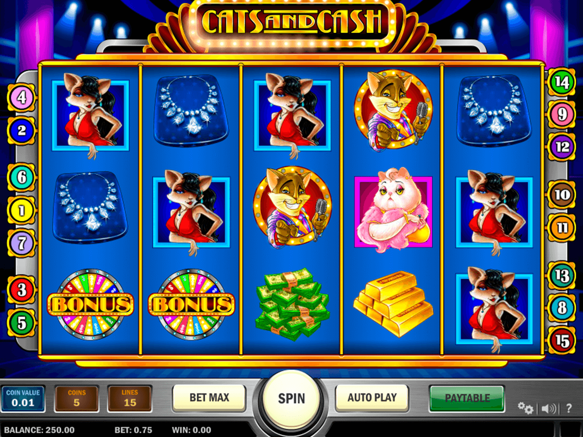 cats and cash playn go casino gokkasten
