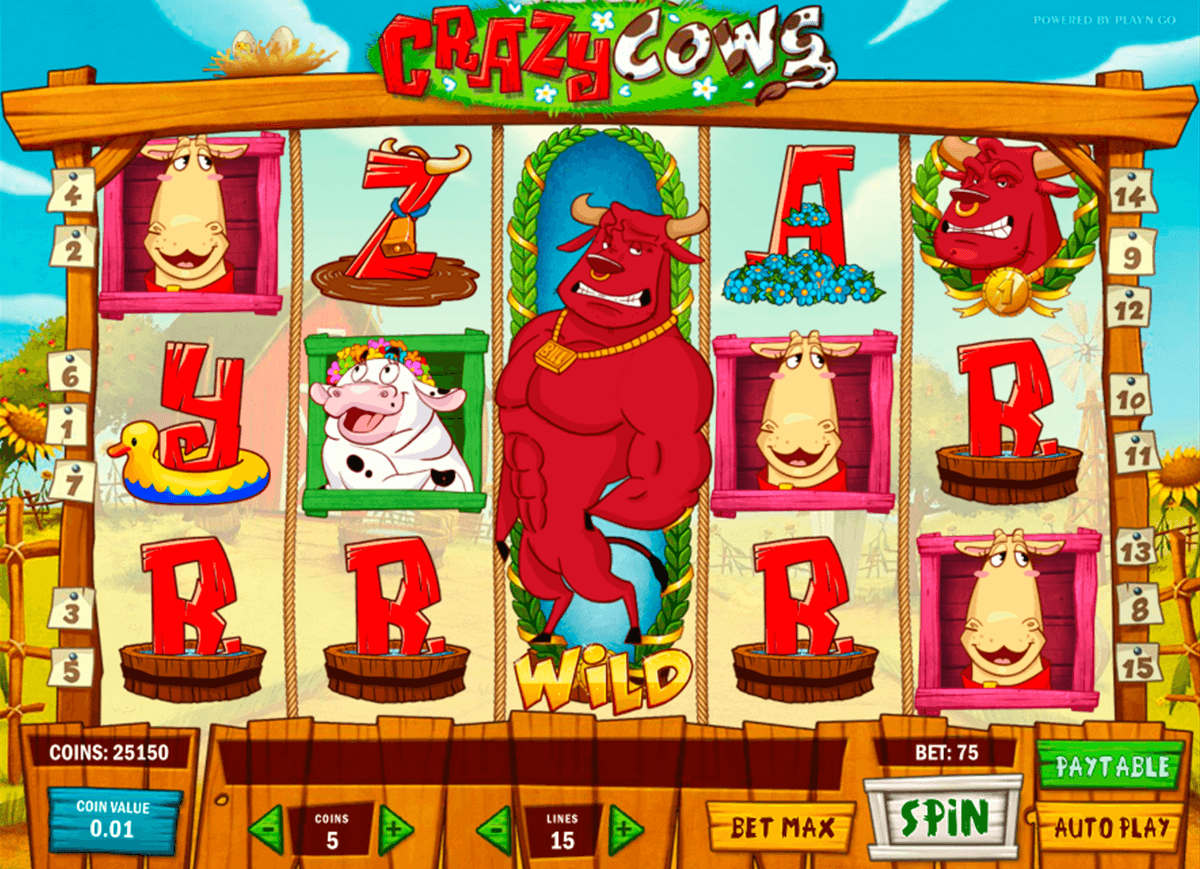 crazy cows playn go casino gokkasten