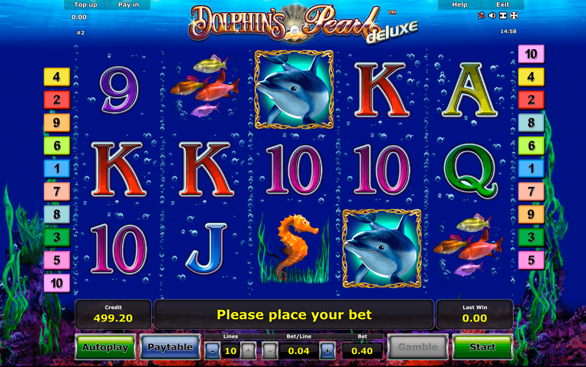 dolphins pearl deluxe novomatic casino gokkasten 