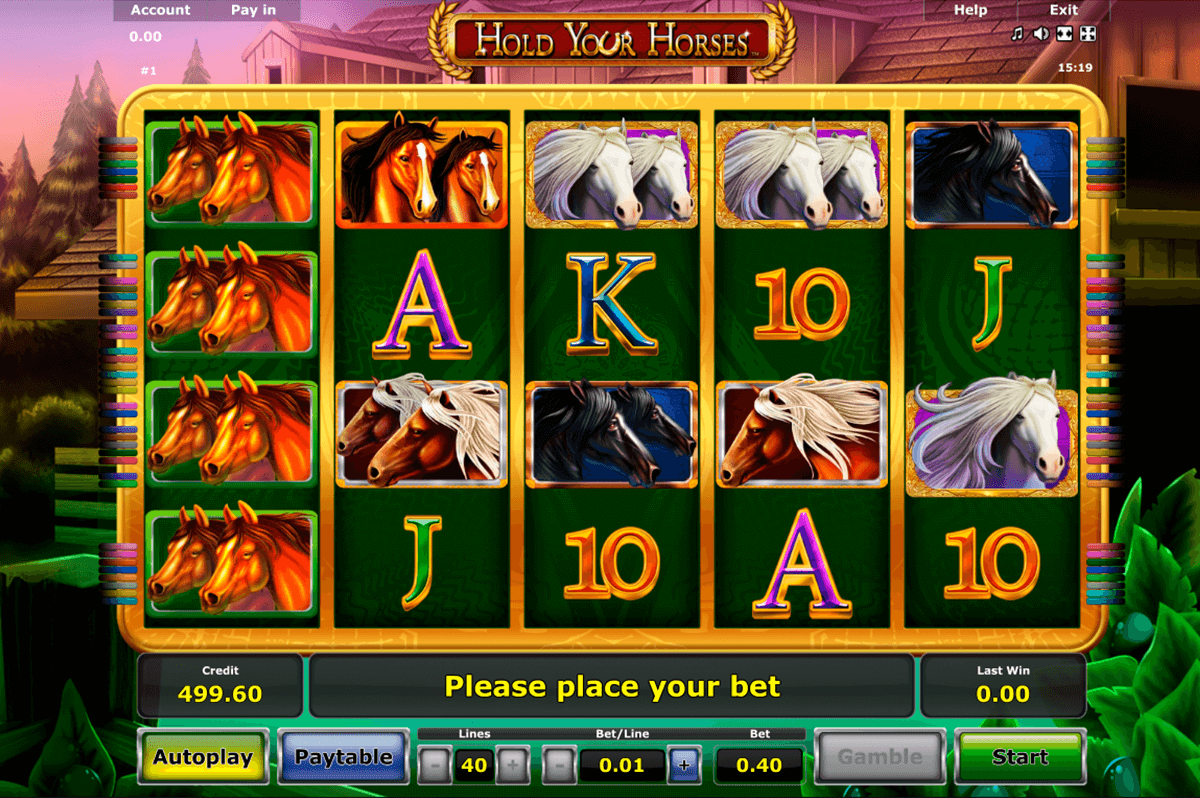 hold your horses novomatic casino gokkasten 