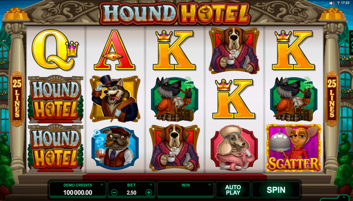 hound hotel microgaming casino gokkasten 
