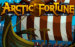 logo arctic fortune microgaming 