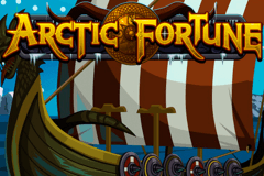 logo arctic fortune microgaming gokkast spelen 