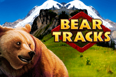 logo bear tracks novomatic gokkast spelen 