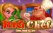 logo big chef microgaming 