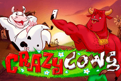 logo crazy cows playn go gokkast spelen 