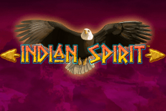 logo indian spirit novomatic gokkast spelen 