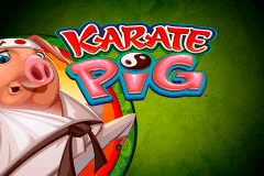 logo karate pig microgaming gokkast spelen 