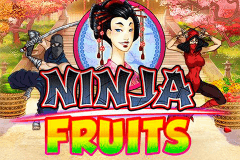 logo ninja fruits playn go gokkast spelen 