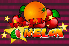 logo wild melon playn go gokkast spelen 