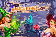 logo wild witches netent gokkast spelen 