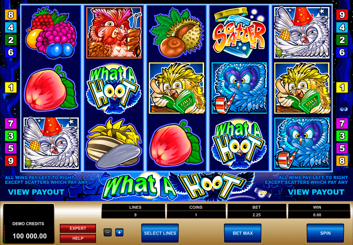 what a hoot microgaming casino gokkasten 