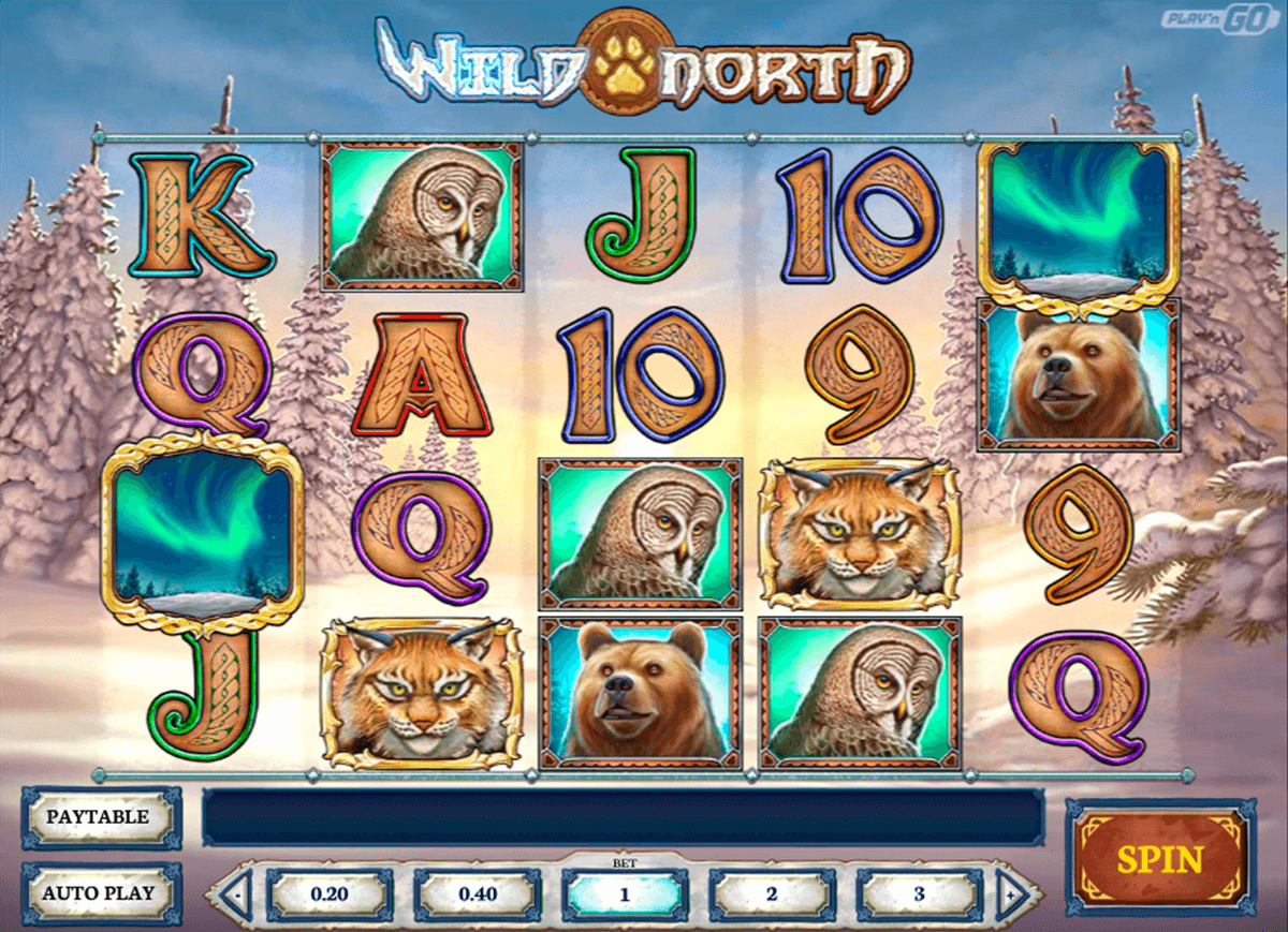 Blackjack 1 Blackjack 1