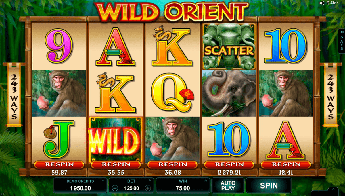 wild orient microgaming casino gokkasten 