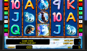 polar fox novomatic casino gokkasten 