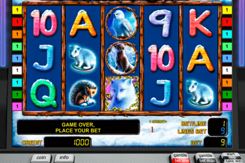 polar fox novomatic casino gokkasten