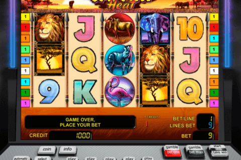 safari heat novomatic casino gokkasten