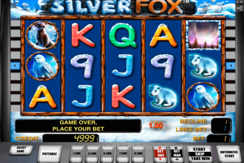 silver fox novomatic casino gokkasten