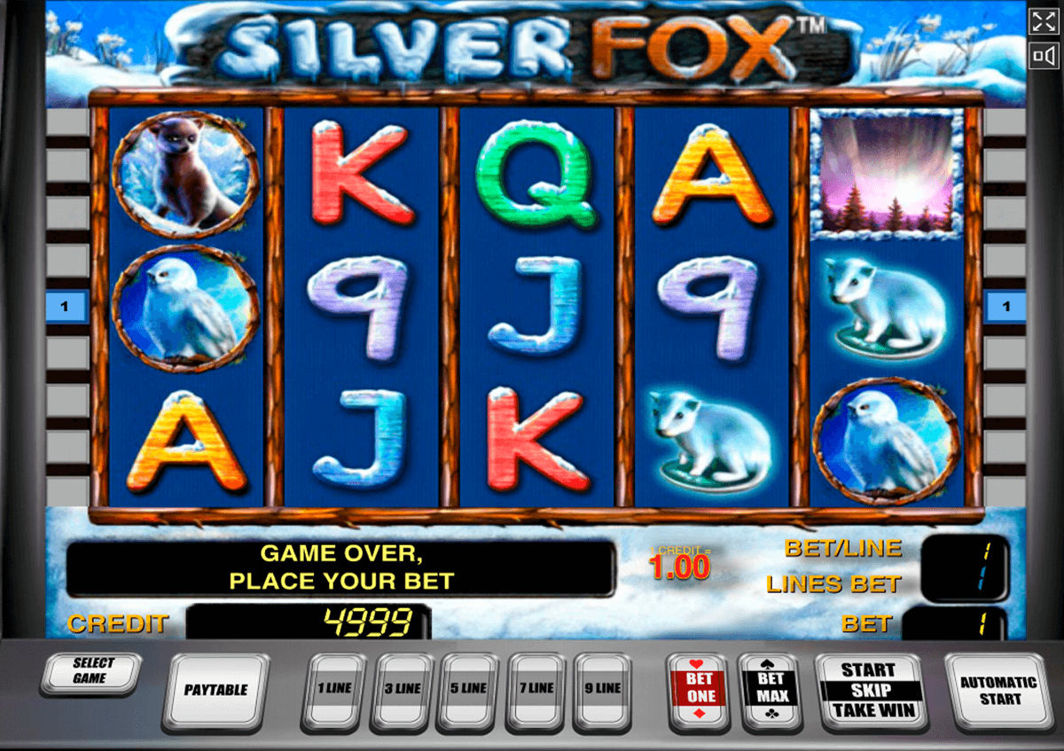 silver fox novomatic casino gokkasten 