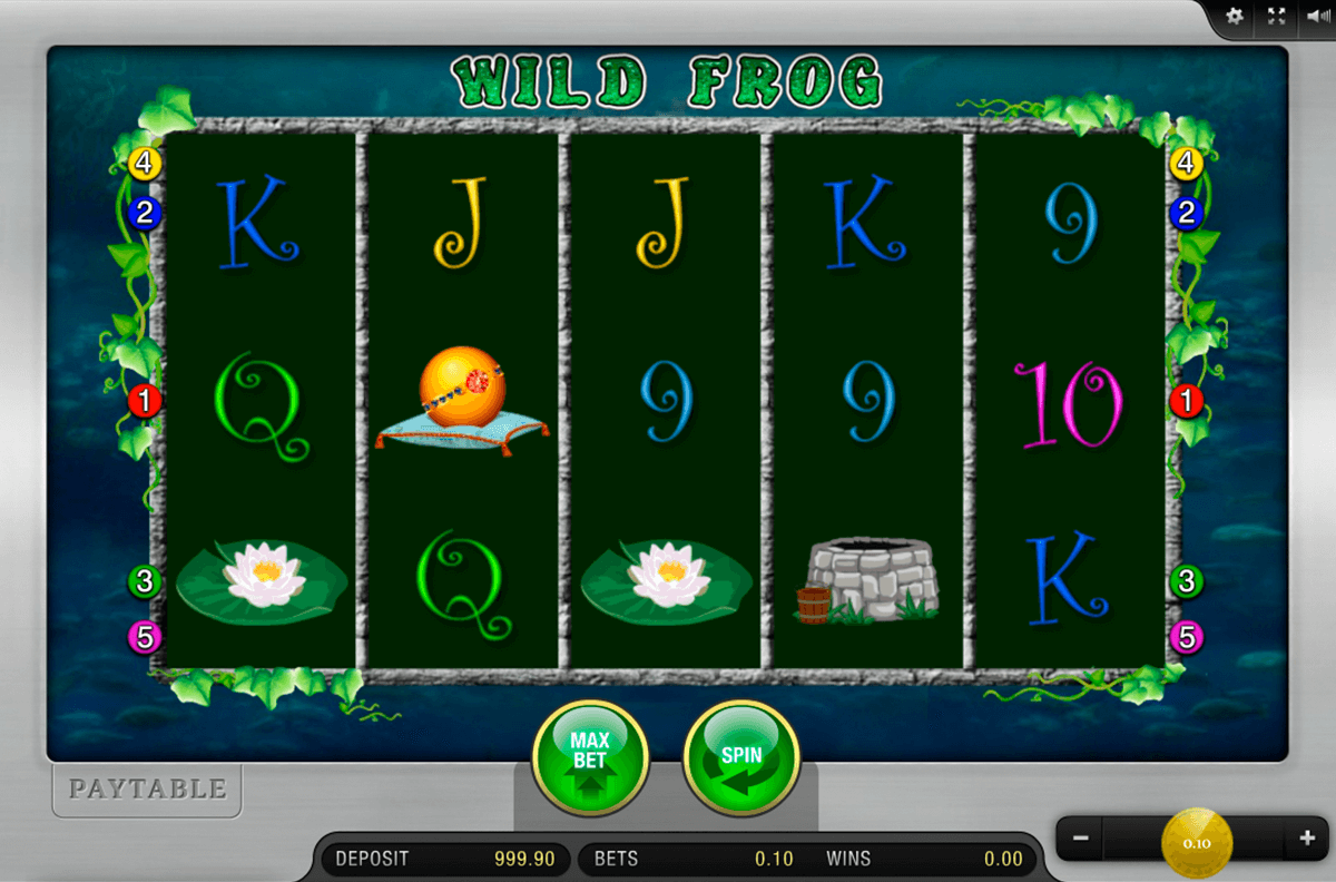 wild frog merkur casino gokkasten 